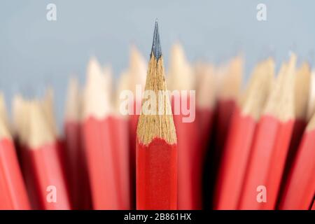 Führung erfolgreicher Teamleiter (Manager, CEO, Marktführer) und weitere geschäftsführende Konzepte. Sich von der Masse abheben. Roter Bleistift, der sich wieder Stockfoto