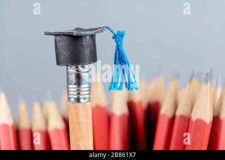 Konzept des Bildungserfolgs. Eine kleine Abschlusskappe wird in einem Bleistift getragen, der Hintergrund ist viele Bleistifte dahinter. Stockfoto