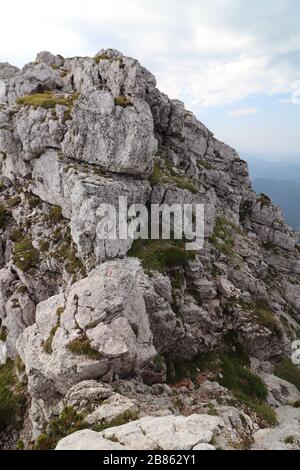 Schmaler Pfad mit Wegeblacke Stockfoto