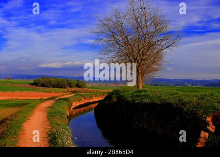 Fußweg neben einem Aquädukt in der Gegend von Pla del Bages mit Ende im Parc de la Sequia Stockfoto