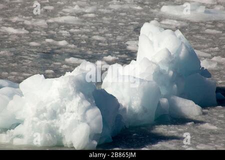 Nahaufnahme einiger Eisblöcke des Aialik-Gletschers, der auf seinem Eismeer in der Aialik Bay, Alaska, schwimmt Stockfoto