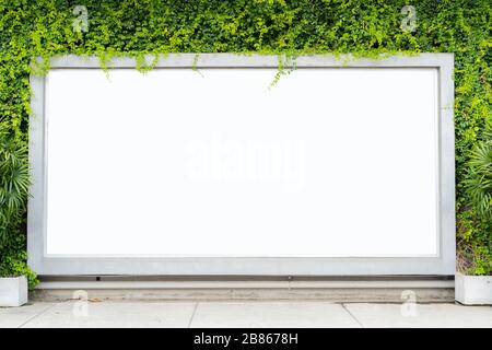 Reklametafeln Konzept. Installiert als Rechteck an der Wand. Und Bäume als Element ist der Boden leer, kann auf Werbemedien gelegt werden. Stockfoto