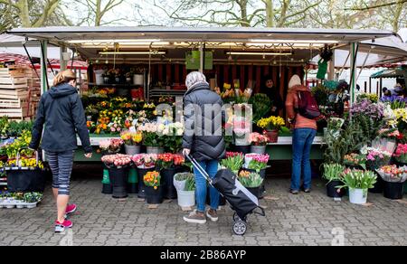 Hannover, Deutschland. März 2020. Auf dem Wochenmarkt am Stephansplatz kaufen die Menschen auf einem Blumenstand ein. Um die Versorgung der Bevölkerung auch während der Corona-Pandemie zu gewährleisten, finden weiterhin Wochenmärkte statt. Credit: Hauke-Christian Ditrich / dpa / Alamy Live News Stockfoto