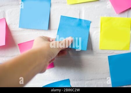 Plan mit farbigen, leeren Notizen an der weißen Wand Stockfoto