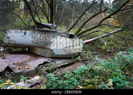 Panzerrack M47 Patton im Brander Wald / Aachen / Deutschland Stockfoto