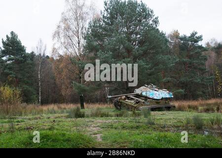 Panzerrack M41 Walker Bulldog im Brander Wald / Aachen / Deutschland Stockfoto