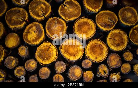 Nahaufnahmen von sich wiederholenden Motiven oder Elementsuiten für Hintergrund oder Hintergrund, in Farbe oder Schwarzweiß. Stockfoto