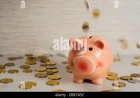 Pink Schweinemoneybox und Münzen Stockfoto