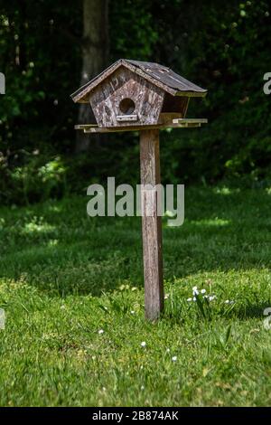 Vogelhaus in Wiese auf Stand Stockfoto