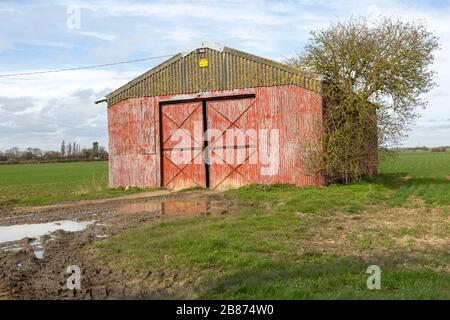 Wellblech mit Asbestdach rot abblätternde Farbe ländliche Scheune in Fields, Cookley Green, Suffolk, England, Großbritannien Stockfoto