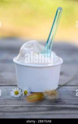 Tofu Gelato Eiscreme in Papierbecher auf Holztisch Stockfoto