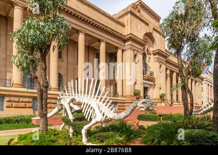 Großes, weißes Scelett vor dem nationalen Museum für Naturgeschichte in Pretoria, Südafrika Stockfoto