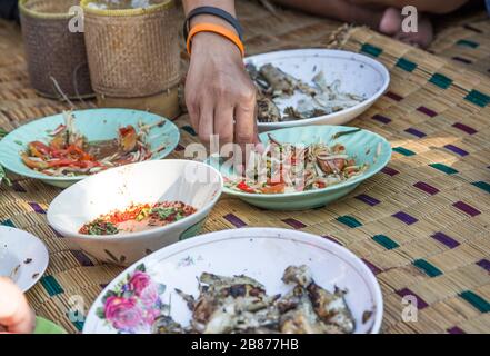 Essen Sie Norteasthern Speisenmenü mit Hand auf Rattan-Matte. Die nordöstliche thailändische Küche ist Somtumgrillfisch und Chilisauce Stockfoto