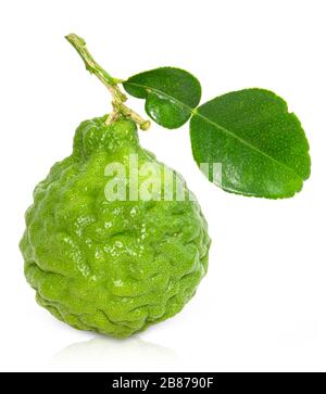 Bergamotfrucht mit Stamm und Blatt isoliert auf weißem Grund. Beschneidungspfad. Stockfoto