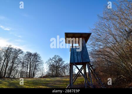 Ein Jäger in den Wald. Stockfoto