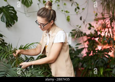 Junge Gärtnerin in Brillen, die grüne Blumen Pflanzen, untersucht sie die Blätter der Pflanzen Stockfoto