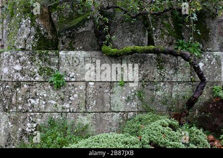 Denkmal für Pobrecillo de Asís. Santiago de Compostela. Spanien Stockfoto