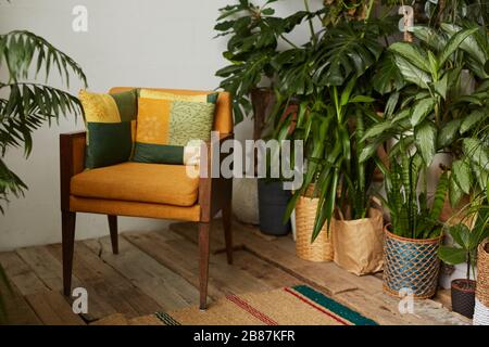 Bild von modischem Sessel und dekorativen Blumen und Pflanzen in Töpfen im Blumengarten Stockfoto