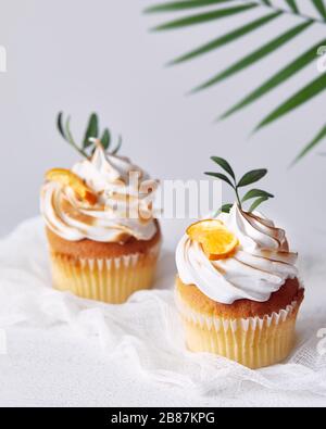 Hausgemachte Cupcakes mit Zitrone und Blättern auf weißem Hintergrund. Freier Speicherplatz für Ihren Text Stockfoto