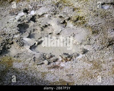 Portugal, Azoren, Kerne, Furnas, Caldieras, heiße Quellen, vulkanische, Mineralquellen, Stockfoto