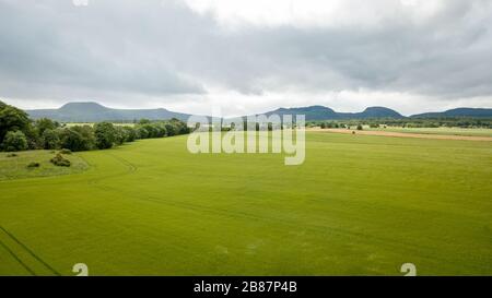 Junger Grünweizen, schottische Highlands. Ein Luftbild über die grünen und fruchtbaren Ebenen der schottischen Tiefebene an einem typisch überwölbenen Tag. Stockfoto