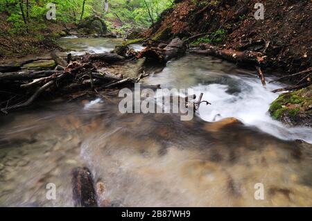 Der kleine Bach fließt mit Wasserfall und mosigen Steinen herum. Umgestürzter Baum liegt über dem Wasser Stockfoto