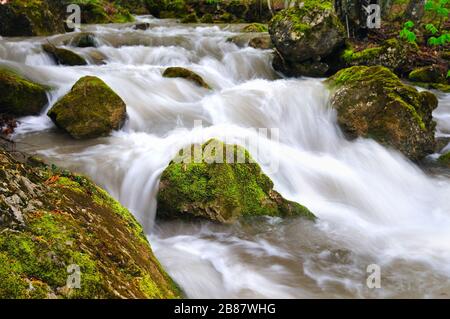 Der kleine Bach fließt mit Wasserfall und mosigen Steinen herum. Umgestürzter Baum liegt über dem Wasser Stockfoto