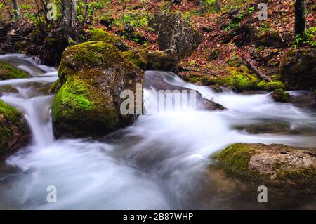 Der kleine Bach fließt mit Wasserfall und mosigen Steinen herum. Umgestürzter Baum liegt über dem Wasser Stockfoto