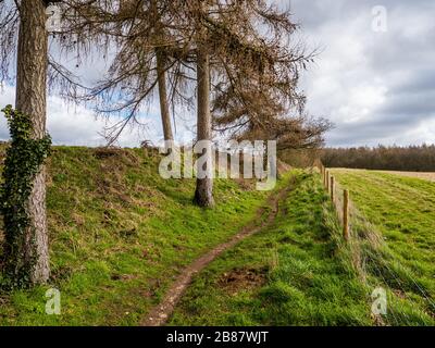 Oxfordshire Landscape, The Ridgeway Nation Trail, Chiltern Hills, Nufield, Oxfordshire, England, Großbritannien, GB. Stockfoto