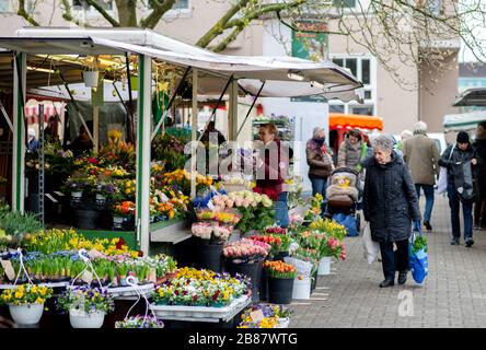 Hannover, Deutschland. März 2020. Auf dem Wochenmarkt am Stephansplatz kaufen die Menschen auf einem Blumenstand ein. Um die Versorgung der Bevölkerung auch während der Corona-Pandemie zu gewährleisten, finden weiterhin Wochenmärkte statt. (Bis dpa: "Polizei macht Bekanntmachungen in leerer Innenstadt - Wochenmärkte voll") Credit: Hauke-Christian Ditrich / dpa / Alamy Live News Stockfoto