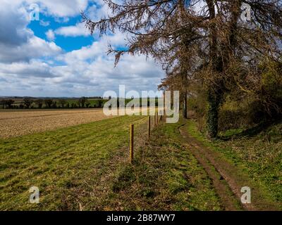 Oxfordshire Landscape, The Ridgeway Nation Trail, Chiltern Hills, Nufield, Oxfordshire, England, Großbritannien, GB. Stockfoto