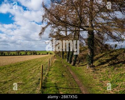 Oxfordshire Landscape, The Ridgeway Nation Trail, Chiltern Hills, Nufield, Oxfordshire, England, Großbritannien, GB. Stockfoto