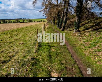 Oxfordshire Landscape, The Ridgeway Nation Trail, Chiltern Hills, Nufield, Oxfordshire, England, Großbritannien, GB. Stockfoto