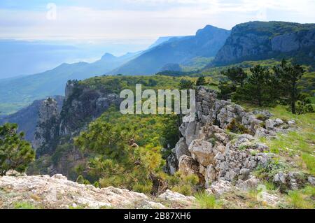 Wunderschöne Landschaft auf der Krim, Blick vom Gipfel des Berges Ai-Petri, Waldtal und weiße Wolken am Himmel Stockfoto