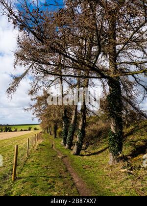 Oxfordshire Landscape, The Ridgeway Nation Trail, Chiltern Hills, Nufield, Oxfordshire, England, Großbritannien, GB. Stockfoto