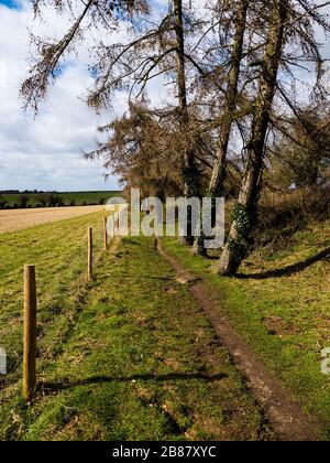 Oxfordshire Landscape, The Ridgeway Nation Trail, Chiltern Hills, Nufield, Oxfordshire, England, Großbritannien, GB. Stockfoto