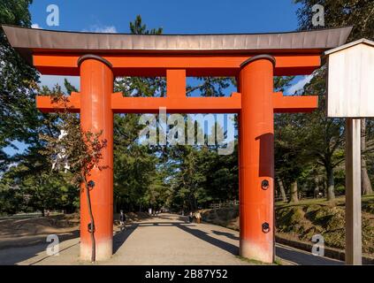 Ein rotes Torii-Tor im Nara Park, Nara, Präfektur Nara, Insel Honshu, Japan Stockfoto