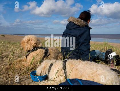 Frau saß im Frühjahr mit zwei Hunden am Strand, Mablethorpe, Lincoln, Großbritannien Stockfoto