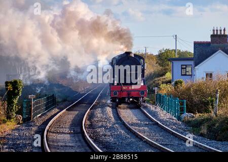 NO 85 Merlin Dampfzug Vorderansicht, während sie in Irland auf der Strecke fährt und ein Haus in der Nähe von Gleisen passiert Stockfoto