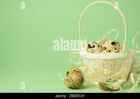 Weißer Korbkorb mit Strohhalm, Wachteleier auf grünem Grund. Das Konzept der Osterfeiertage. Osterkarte.Kopierbereich. Stockfoto