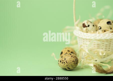 Weißer Korbkorb mit Strohhalm, Wachteleier auf grünem Grund. Das Konzept der Osterfeiertage. Osterkarte.Kopierbereich. Stockfoto