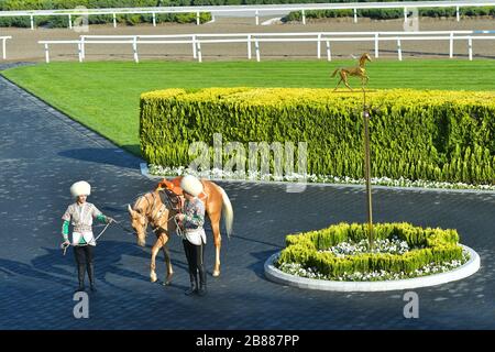 TURKMENISTAN, ASHGABAT - 24.2019: Tag des turkmenischen Rennpferdes. Akhal Teke Pferd von zwei Männern angeführt. Stockfoto