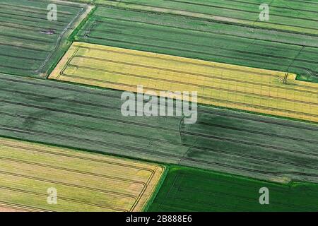 Luftbild über Ackerland mit Traktorbahnen in landwirtschaftlichen Parzellen/Parzellen mit Getreideanbau und Weizenfeldern/Maisfeldern im Sommer Stockfoto