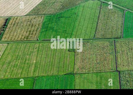 Luftbild über Ackerland mit Schlepperspuren und Graben in landwirtschaftlichen Parzellen/Parzellen mit Wiesen/Grünland im Sommer Stockfoto