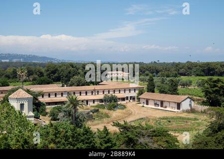 Die Nebengebäude, der Weinberg und der Park des Klosters Lerins Abbey aus dem zisterziensischen Kloster auf der Insel Saint-Honorat an der französischen Riviera bei Cannes. Klosterleben. Stockfoto