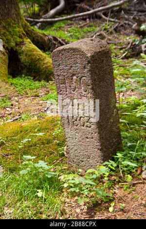 Auf dem Wanderpfad Rennsteig in Deutschland Stockfoto