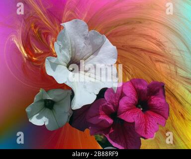 Blumenstrauß mit bunten Blumen im bunten Hintergrund. Stockfoto