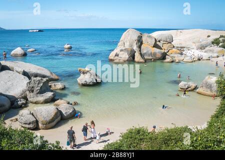 Kapstadt, Südafrika - Nowember 30, 2019 - Touristen, die am Boulders Beach in der Nähe von Simons Town schwimmen Stockfoto