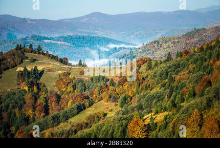 Blick auf die schöne Landschaft auf der Hangwiese mit heller aufsteigender Sonne im Hintergrund. Morgensonne, die sanfte Hügel mit Lichtstrahlen beleuchtet. Konzept o Stockfoto