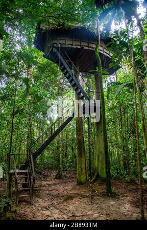 Baumhaus Lodge in Reserva Natural Tanimboca. Naturreservat.Leticia, Amazonas, Kolumbien, Regenwald Südamerika. Stockfoto